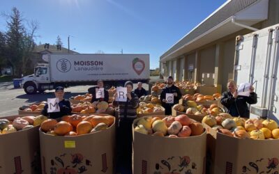 Un don exceptionnel de Citrouilles & Cie : 11 760 kg de citrouilles et de courges pour soutenir notre mission